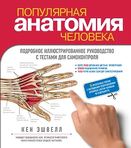 Популярная анатомия человека. Подробное иллюстрированное руководство с тестами для самоконтроля