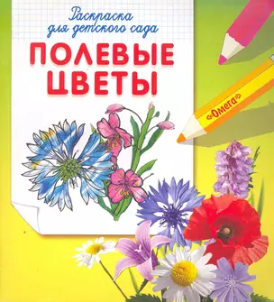 Раскраска для детского сада. Полевые цветы / (мягк) (СуперРаскраска). Разгуляев П. (Омега) — 2252142 — 1