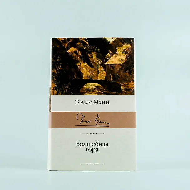 Книга Волшебная гора (Томас Манн) — 5