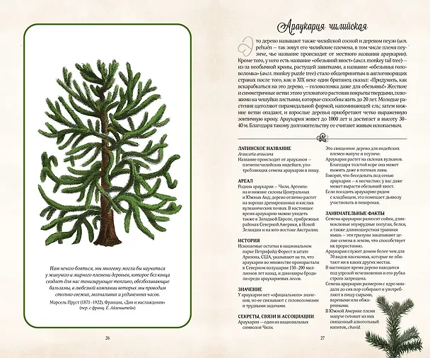 Книга Тайный язык деревьев (Джилл Дэвис) — 5