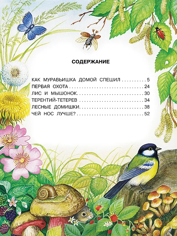 Книга Сказки. К 130-летию писателя (Виталий Бианки) — 5