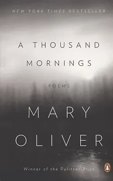 A Thousand Mornings