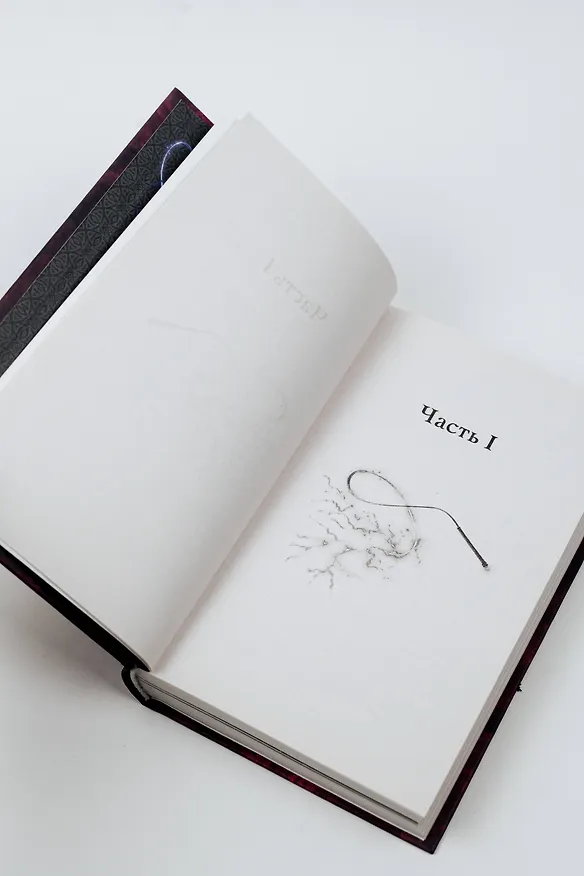 Книга Полуночная ведьма (Марго Арнелл) — 10