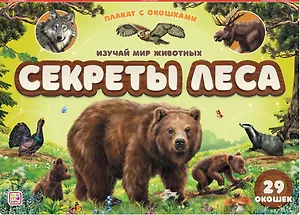 Плакат с окошками. Секреты леса