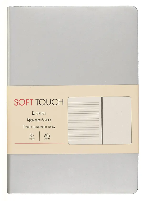 Записная книжка «Soft touch. Серебро» А6+, 80 листов в линейку/в точку/нелинованная, экокожа, Listoff 3009308 — 1
