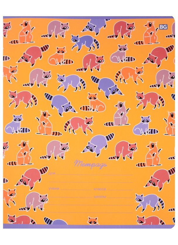 Тетрадь в клетку BG «Енот -pattern» в ассортименте, 18 листов 244605 — 1