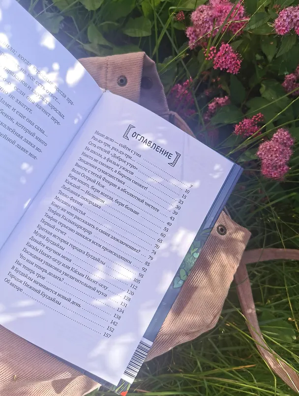 Книга Амир и безумный ингредиент (Шермин Яшар) — 12