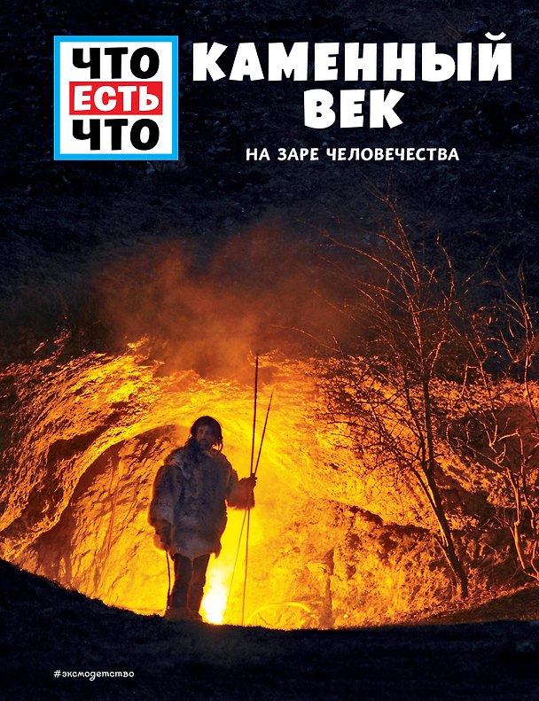 Книга КАМЕННЫЙ ВЕК. На заре человечества (Андреа Шаллер) — 1