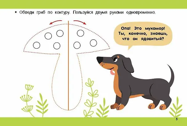 Книга Рисуем правой и левой руками одновременно (Валентина Дмитриева) — 13