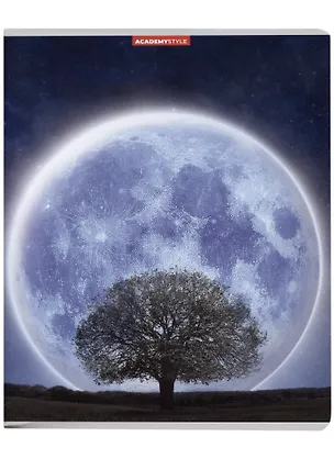 Тетрадь в клетку Academy Style, "Фантастическая Луна", 80 листов 2901794