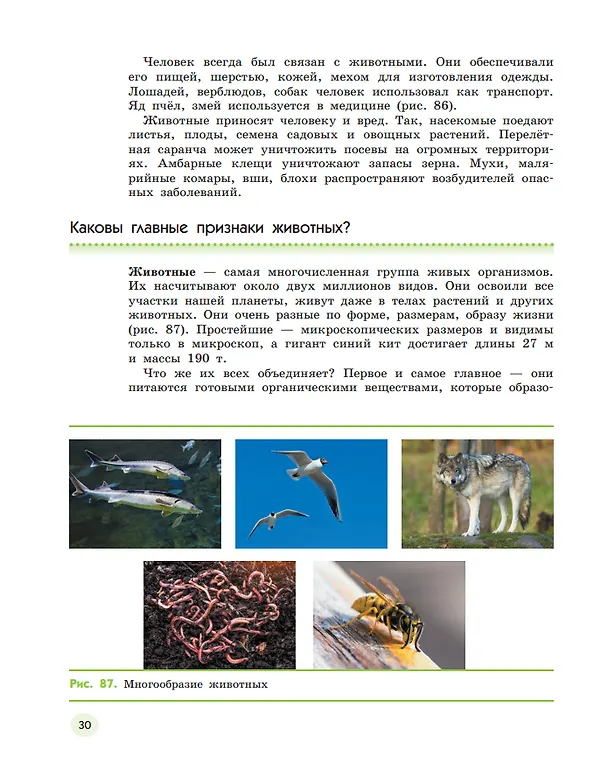 Книга Естествознание. 5 класс. Учебник. В двух частях. Часть 2 (Владислав Сивоглазов, Надежда Габрусева, Виктор Акуленко) — 3