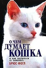 О чем думает кошка и как научиться ее понимать