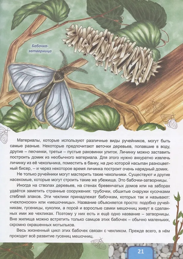 Книга Животные строят (Владимир Бабенко) — 6