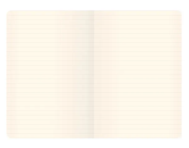Записная книжка «Ментоловый» А6, 96 листов в линейку, экокожа, Joy Book 3042640 — 3