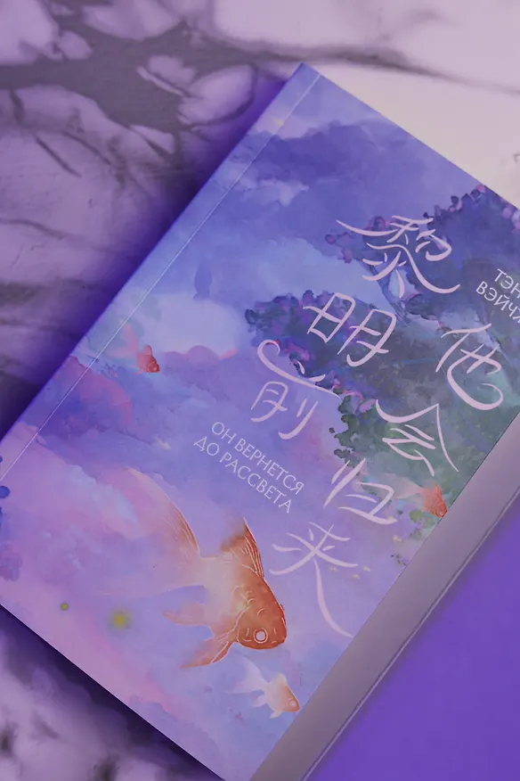 Книга Он вернется до рассвета. Книга 1 (Тэнло Вэйчжи) — 13