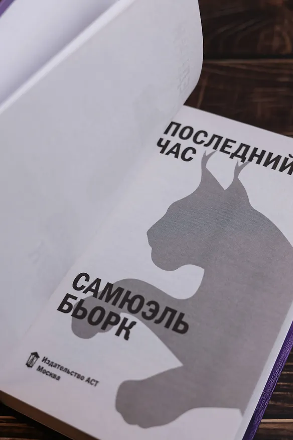 Книга Последний час (Самюэль Бьорк) — 12