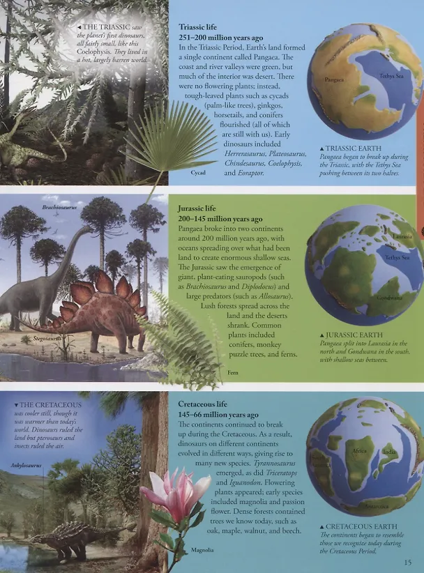 Книга Dinosaurs a children's encyclopedia () — 4