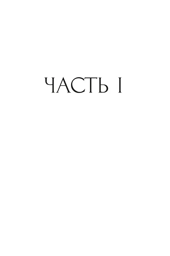 Книга Черная книга (Орхан Памук) — 8