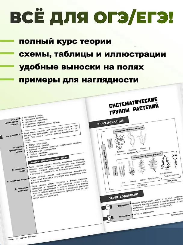 Книга Биология (Оксана Мазур) — 7