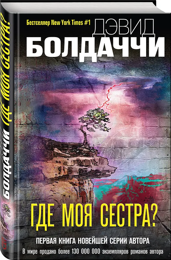 Книга Где моя сестра? (Дэвид Болдаччи) — 4
