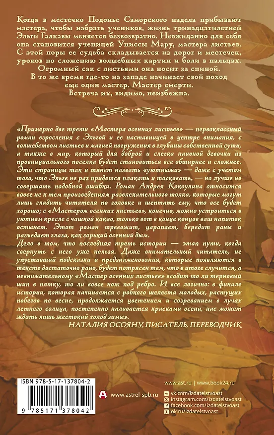 Книга Мастер осенних листьев (Андрей Кокоулин) — 2