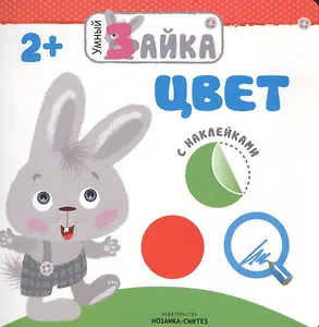 Умный зайка. Цвет