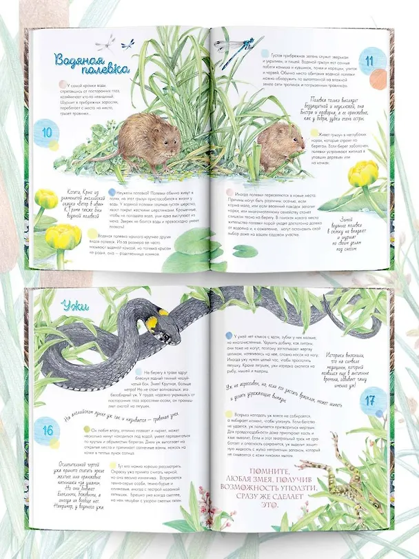 Книга Жизнь пруда (Наталья Габеева) — 6