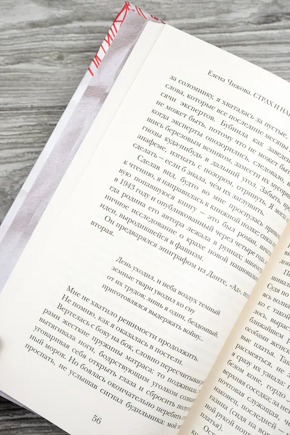 Книга Страх и наваждения (Елена Чижова) — 12