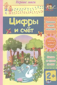 Цифры и счет