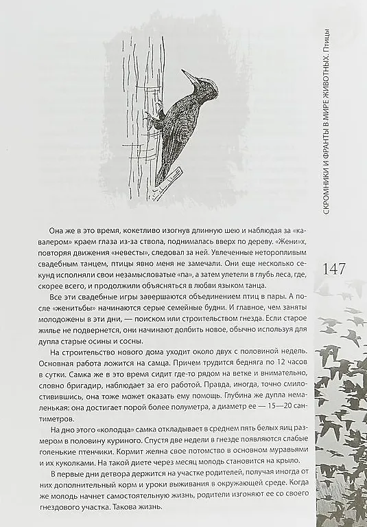 Книга Скромники и франты в мире животных. Рыбы, птицы, звери (Анатолий Бернацкий) — 8