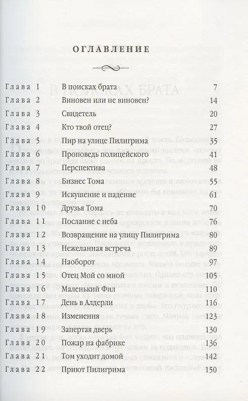 Книга Улица Пилигрима () — 2