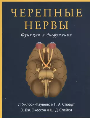 Черепные нервы. Функция и дисфункция — 2525343 — 1