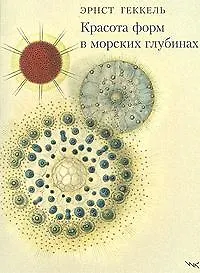 Красота форм в морских глубинах