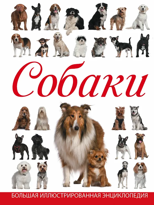 Книга Собаки (Ирина Барановская) — 1