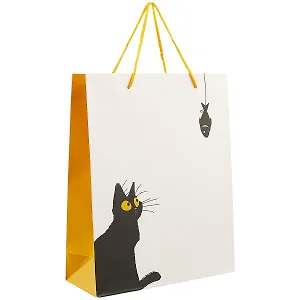 Подарочный пакет «Чёрный кот», А4