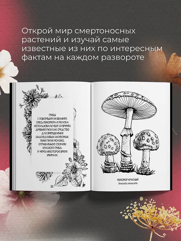 Книга Ботаникум: ядовитые травы, страшные корни и опасные ягоды () — 6