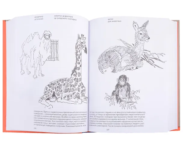Книга Заметки директора Эр-Риярдского зоопарка (Владимир Остапенко) — 4