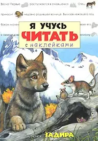 Я учусь читать (с наклейками) Волчонок Задира (мягк). (Лабиринт) — 2161590 — 1