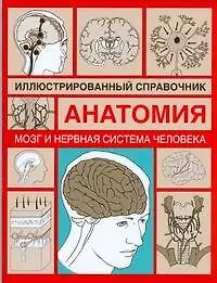 Книга Анатомия.Мозг и нервная система человека: Иллюстрированный справочник (И.А. Борисова)