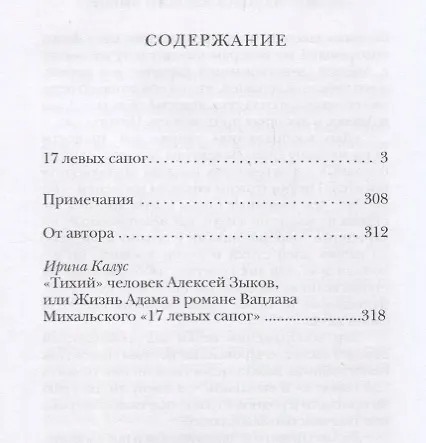 Книга 17 левых сапог (Михальский) (Вацлав Михальский) — 2