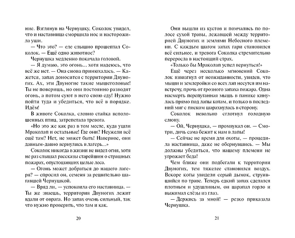 Книга Ослепление (Эрин Хантер) — 10
