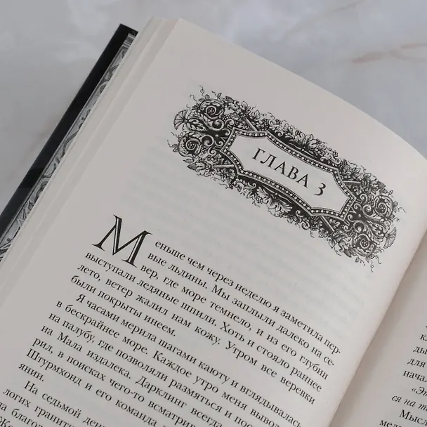 Книга Штурм и буря (Ли Бардуго) — 13