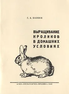 Выращивание кроликов в домашних условиях