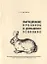 Выращивание кроликов в домашних условиях — 2776042 — 1