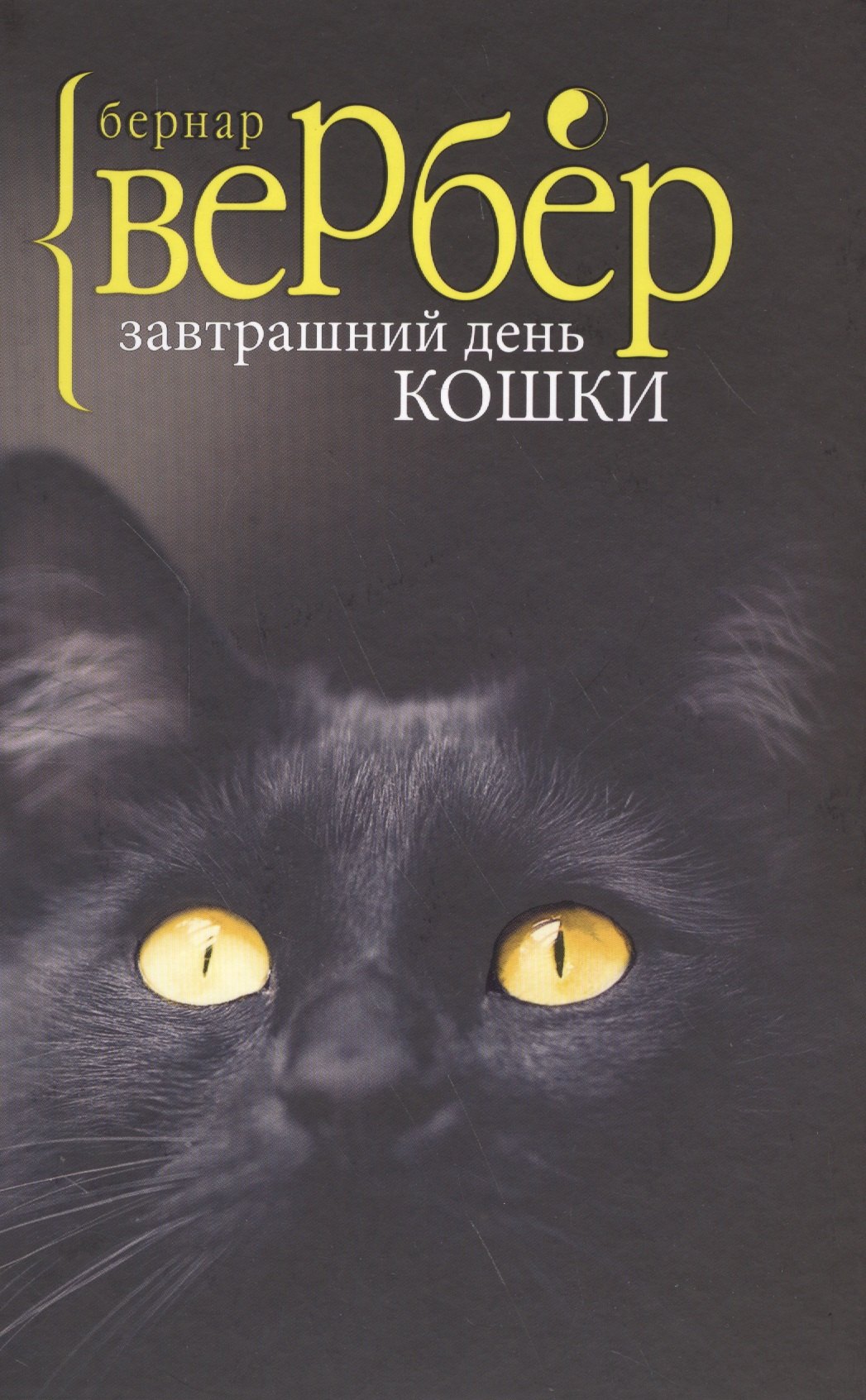 

Завтрашний день кошки