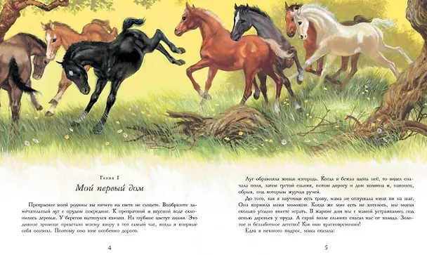 Книга Черный красавчик (Карл Сьюэлл) — 3