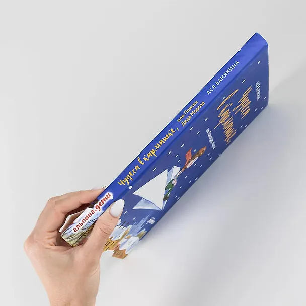 Книга Чудеса в кармашке, или Поиски Деда Мороза (Ася Ванякина) — 10