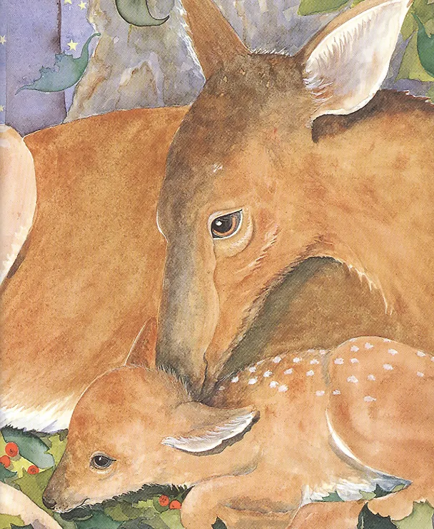 Книга Пора спать (Маргалит Фокс) — 2