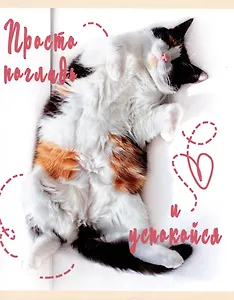 Тетрадь в клетку Listoff, "Погладь котика", 48 листов, в ассортименте