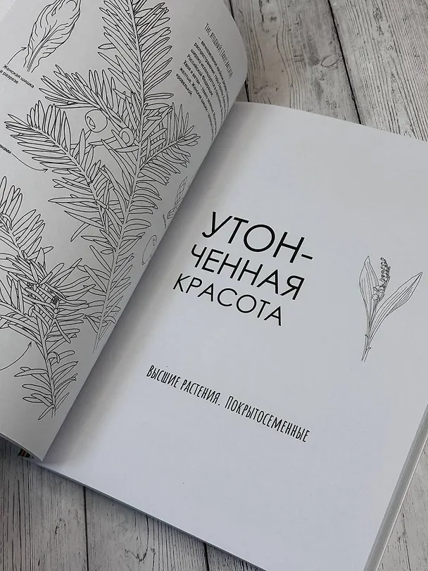 Книга Ботаника. Атлас-раскраска () — 7